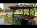Korea rice planting, 봉하마을 모심기