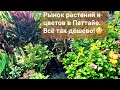 Рынок цветов и растений в Паттайе Flower and plant market in Pattaya ตลาดดอกไม้และต้นไม้ในพัทยา