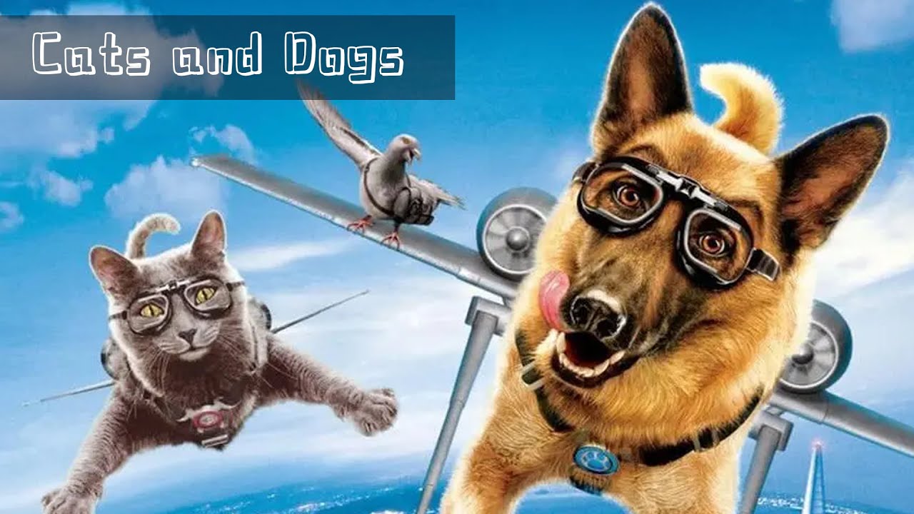 The police dog that failed the operation