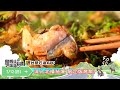 《精采預告》深入北橫秘境 限定版烤魚！-第366集-2026/ 7/12