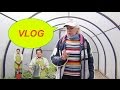 ВЛОГ/VLOG. Покупки для сада. Клубника фриго. Крыльцо дома.