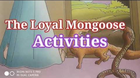 The Loyal Mongoose#3rd class English Ap state syllabus