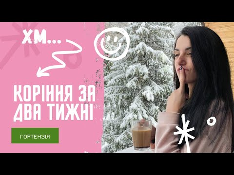 Експериментуємо, перші результати.