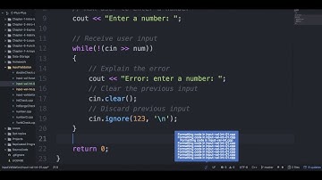 How to Input Validate an Integer (int) in C++ - using a while loop, cin.clear(), and cin.ignore()
