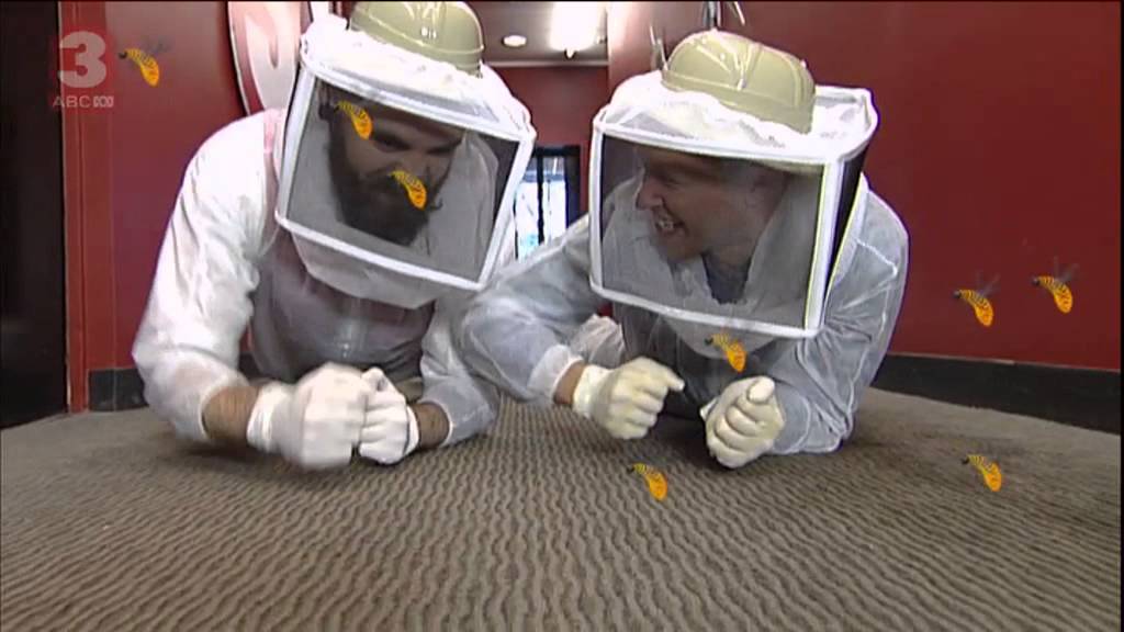 ABC3 | Studio 3 : Bees