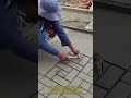 격자 틀을 활용한 효율적인 콘크리트 바닥 벽돌 패턴 시공 #ConcreteStamp #BrickPattern #PavingTools #constructionefficiency