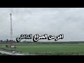 موسى عليه السلام… النبي الذي تحدّى فرعون🌙☘️✔️