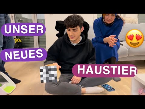 Video: Überleben Sie Ihre ersten 30 Tage mit einem neuen Kätzchen