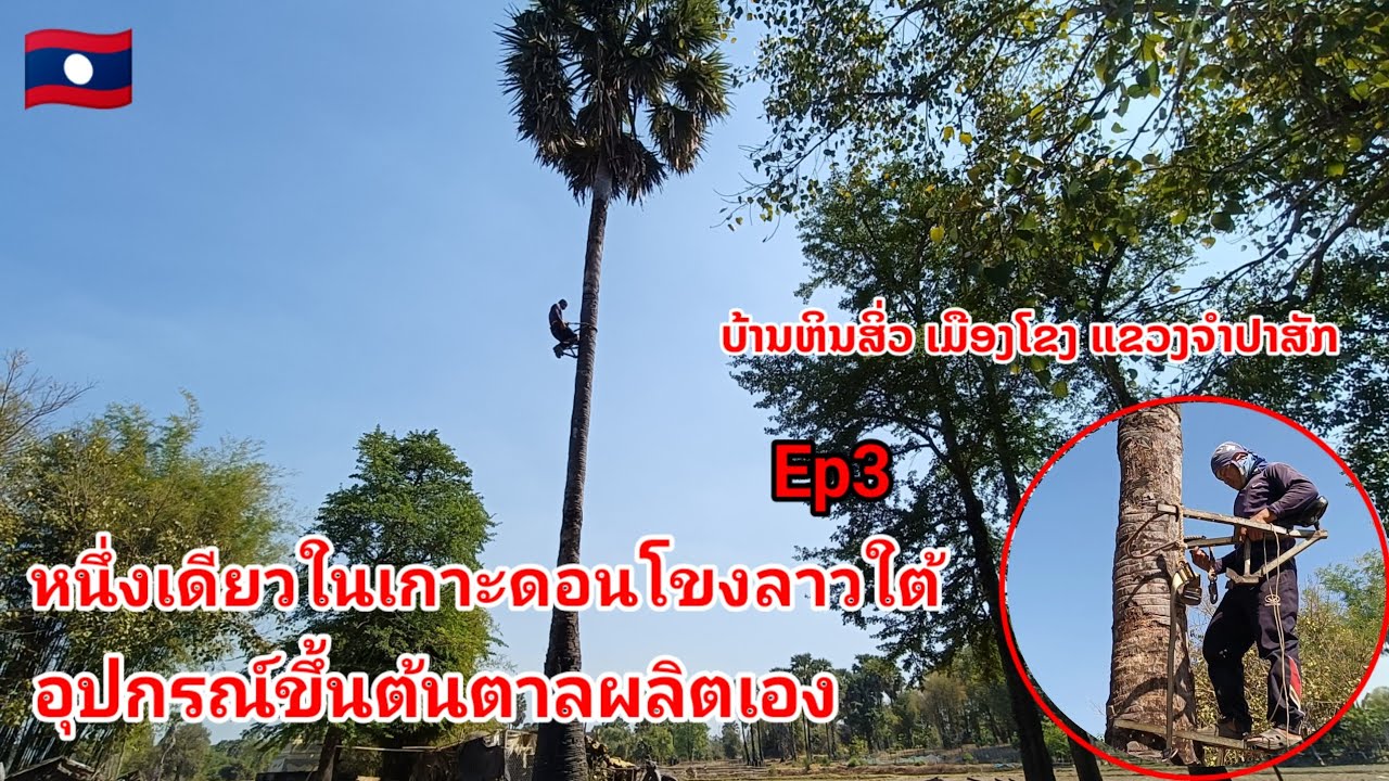 หนึ่งเดียวในเกาะดอนโขงลาวใต้บ้านหินสิ่ว เมืองโขง แขวงจำปาสัก 