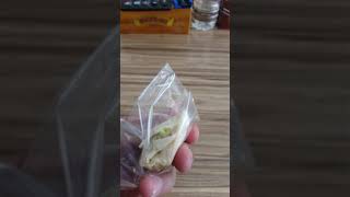 Tohumlar Nasıl Çimlenir