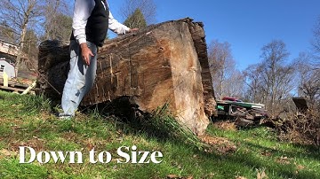 Milling Sugar Maple (too big!)
