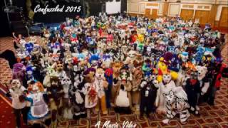 CONFUZZLED 2015 - A Music Video (RE-UPLOAD)