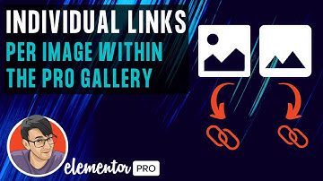 Elementor - Gallery - Add Individual URL Links per Image with simple Code for Free