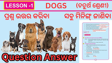 English Dogs Poem Questions Answers | Odisha Class 4 English Lesson 1 Dogs Questions Answer Meaning