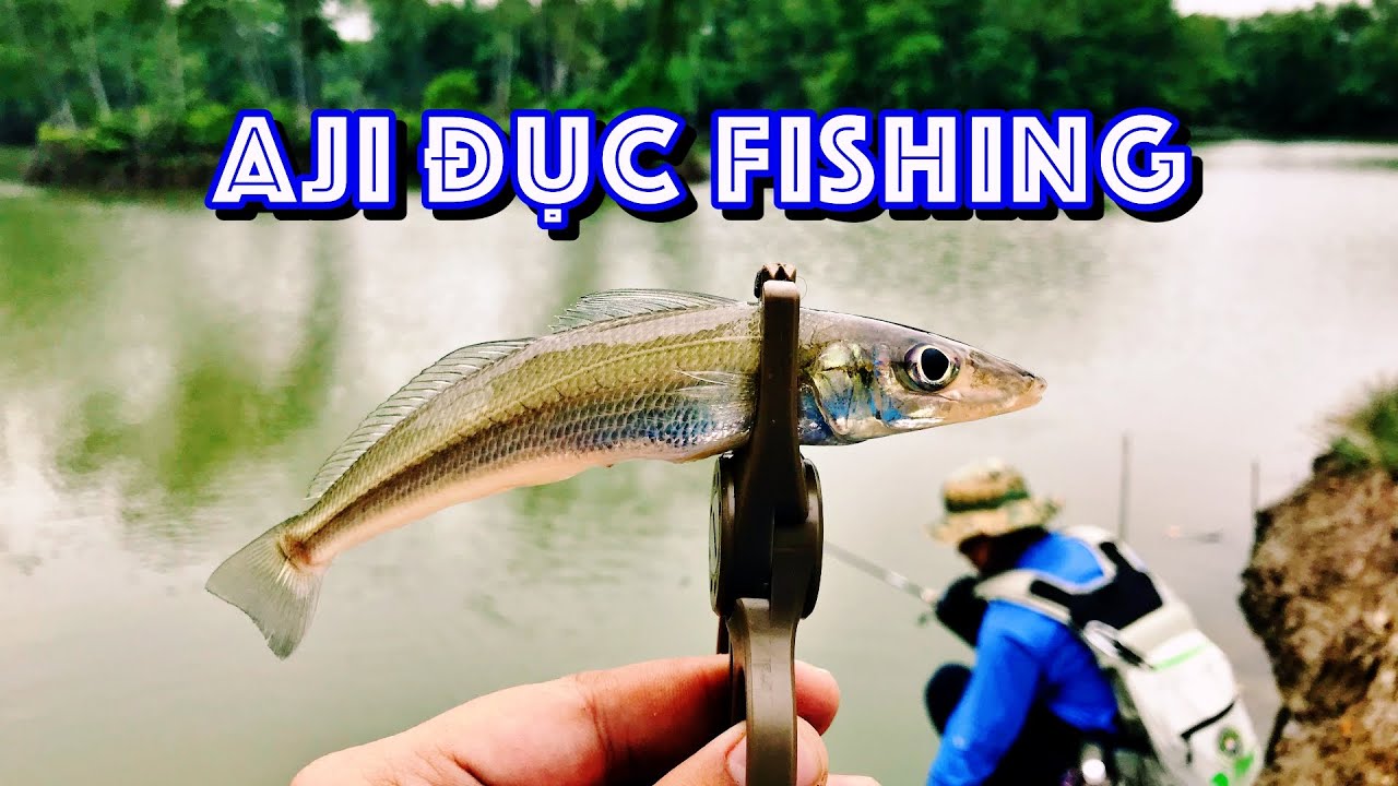 Câu Lure Cá Chẽm Tráp Mà Cá Bóng Đục Phá Quá | Whiting Fishing