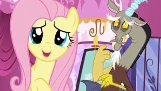 Fluttercord-In Your Arms