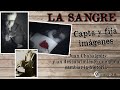 Perfiles 2.0 - Capitulo 28 - El Misterio de la Sangre Perfiles 2.0 - Capitulo 28 - El Misterio de la Sangre