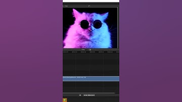 Blender Tutorial: How to Crop Video in Blender Video Editor