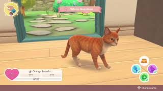 Cat Rescue Story gameplay (PS5) screenshot 5