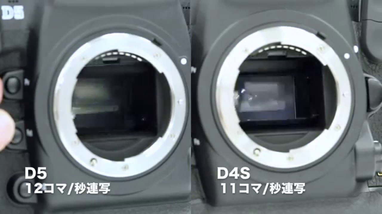 ニコン D5 vs D4S 高速連写の動作比較