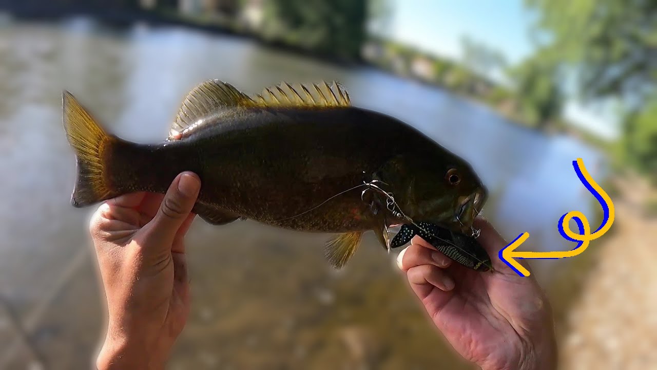 whopper-plopper-fox-river-smallmouth-bass-fishing-wild-25-fish-day