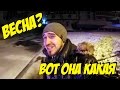 Подарок собакам ! Зима посреди Лета =)