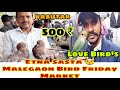 मालेगाव कबुतर बाजार ( भाग 1) / Malegaon Friday Bird's Big Market Kabutar & Love Bird's ( Part - 1 )