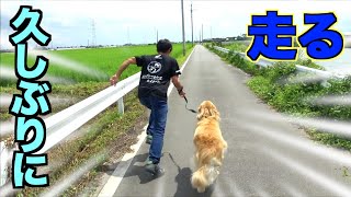 人とゴールデン、本気で走ったらどっちが勝つ！？