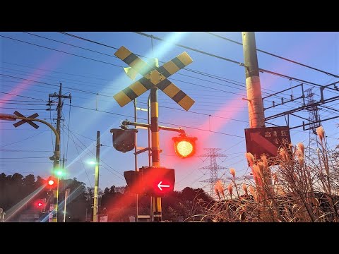 踏切】JR総武本線 多い警報灯が更新された踏切 (Railroad crossing in