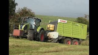 Collecting Grass with the Wagon