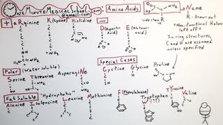 Download lagu The 20 Amino Acids - One Minute Medical School
