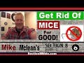 Section Landlord Tips - Get Rid of MIce For GOOD