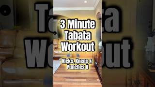 3-Minute Energy Boost⚡️Kicks, Knees &amp; Punches II