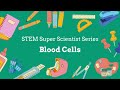 🩸 Blood Cells Explained | Red, White & Platelets Made Simple! 🔬