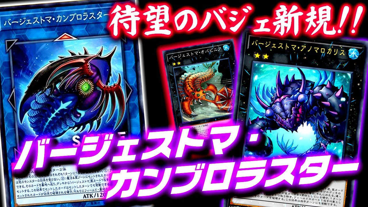 遊戯王ads 待望のバジェ新規 バージェストマ カンブロラスター ゆっくり解説 Youtube
