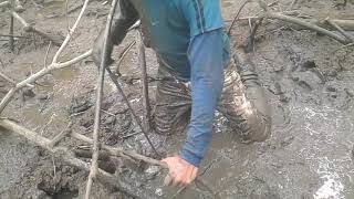 Cojida De Cangrejo Con Gancho O Varilla