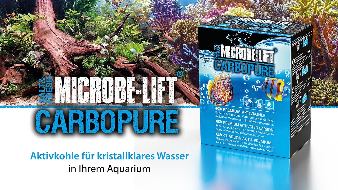 Warum brauchst du Aktivkohle für dein Aquarium? - 𝐌𝐈𝐂𝐑𝐎𝐁𝐄-𝐋𝐈𝐅𝐓 𝐂𝐚𝐫𝐛𝐨𝐩𝐮𝐫𝐞 Aktivkohle.