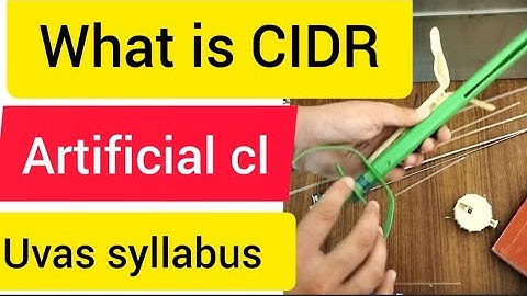 What is the CIDR(controlled intra vaginal drug release) device| #vet #veterinary #minivet110 #shorts