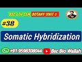 Somatic Hybridization |Selection, isolation, Fusion,culturing principle & application, regeneration
