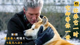 人生必看电影系列之《忠犬八公》主人意外去世狗狗在原地等待10年这是一部真实故事改编的电影水来我在水中等你火来我在灰烬中等你。