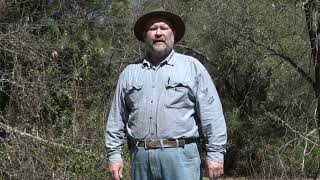 The Lost Gold of Diamond Springs, CA.  El Dorado County, CA