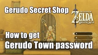 Celebrity Zelda Breath of the Wild Gerudo Secret Shop Location - How to get Gerudo Town password Net Worth