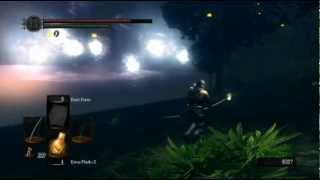 Dark Souls Prepare to Die Edition part 48 Blind Hydra, Havel