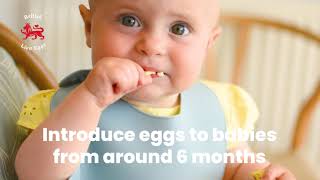 When to introduce eggs to babies