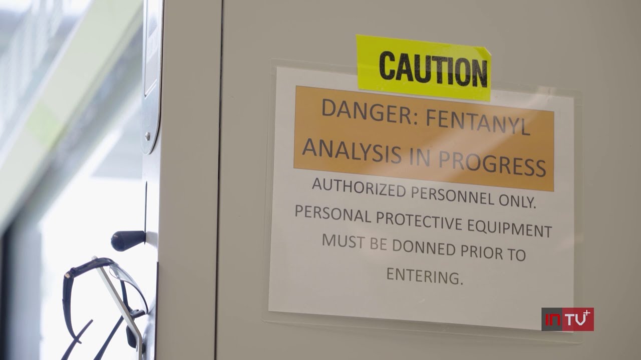 DEA details how fentanyl-laced pills are driving the overdose epidemic