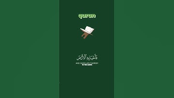 #سورة_العنكبوت ||  الآية 63 || #quran #اكسبلور #islamicfigure #explore #reels #instagram #islam
