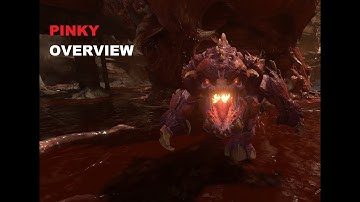 Pinky Overview.