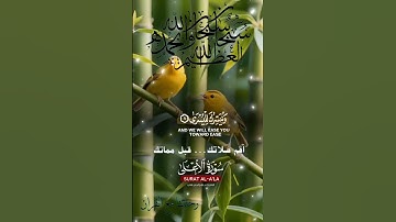تلاوة خاشعة عطرة مباركة جميلة عذبة للشيخ ماهر المعيقلي ماتيسر من سورة الأعلى