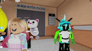 Roblox The Crazy Elevator