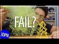 Failure is Not an Option - Makers Muse Lattice Tree & Impossible Tree